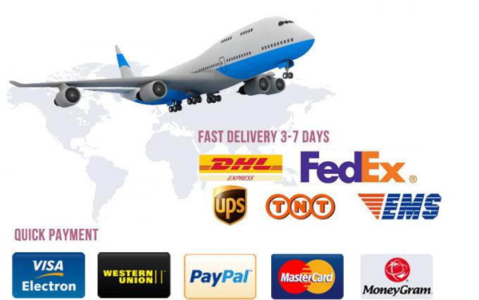 المكياج الرقمي البطارية اللاسلكية آلة الوشم الدوارة الوشم الدائم 26